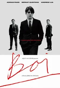 Бой (фильм 2019)